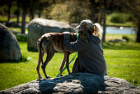 2015 Greyhounds In Gettysburg
